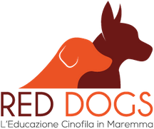 red dogs educatore cinofilo orbetello grosseto